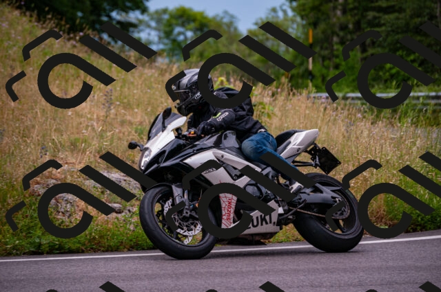 202506221056-DSC_3811_d2_