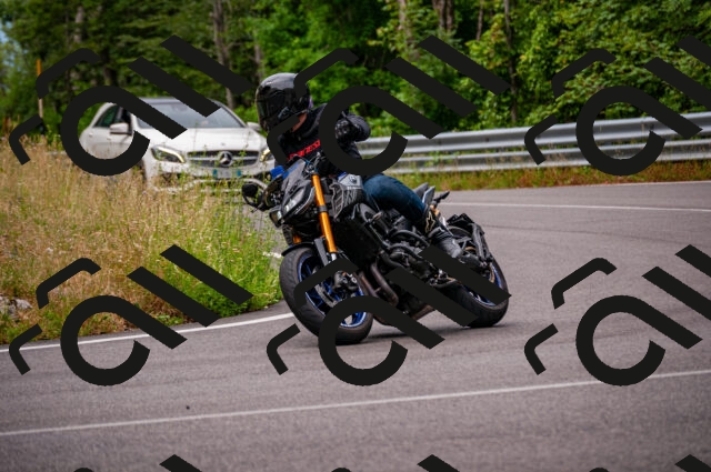 202506221059-DSC_3828_d2_