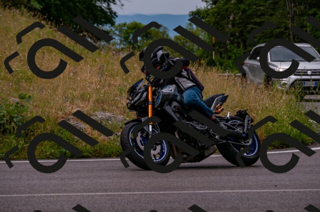 202506221059-DSC_3832_d2_