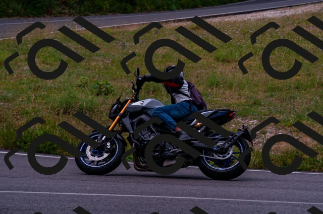 202506221059-DSC_3833_d2_