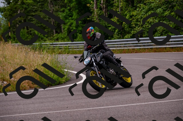 202506221100-DSC_3839_d2_