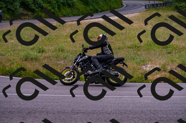 202506221100-DSC_3840_d2_