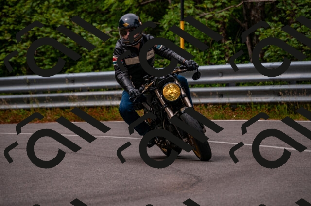 202506221109-DSC_3879_d2_