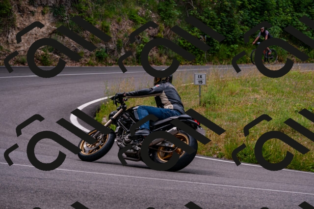 202506221109-DSC_3882_d2_