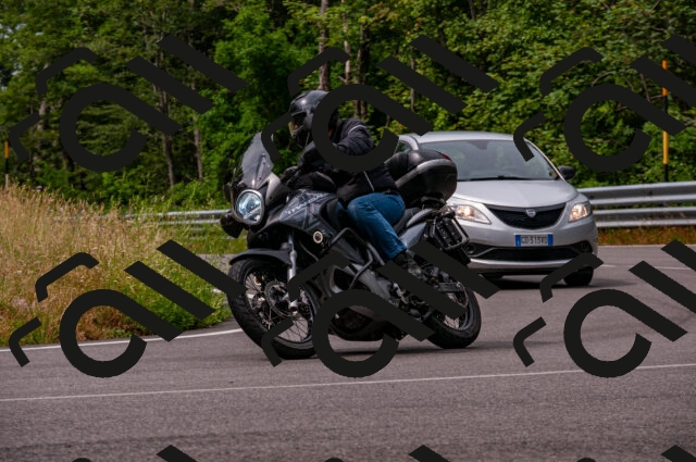 202506221110-DSC_3889_d2_