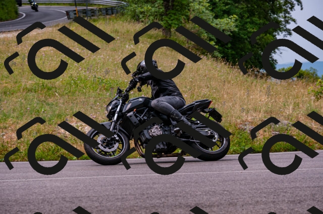 202506221112-DSC_3892_d2_