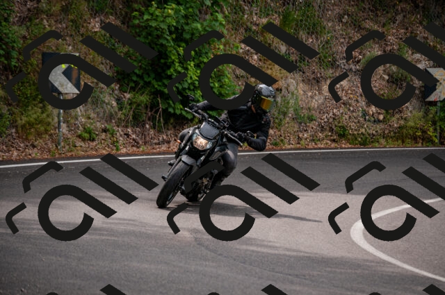 202506221113-DSC_3906_d2_