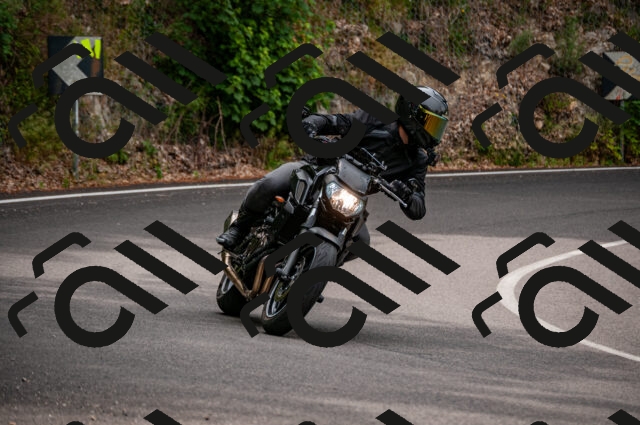 202506221114-DSC_3907_d2_