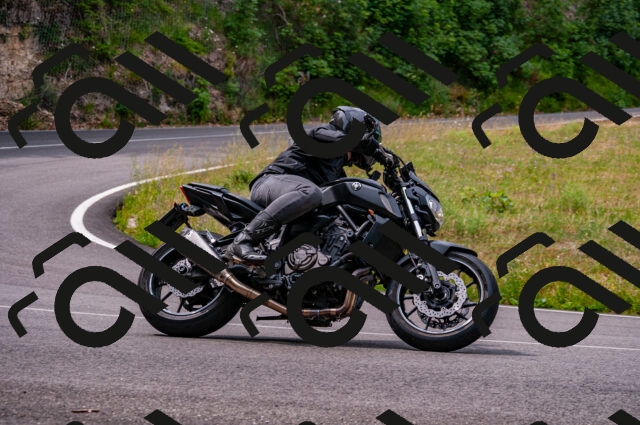 202506221114-DSC_3908_d2_