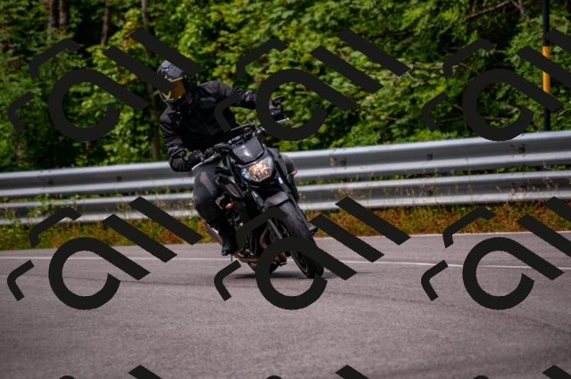 202506221114-DSC_3910_d2_