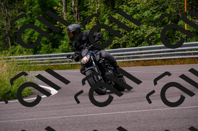 202506221114-DSC_3911_d2_