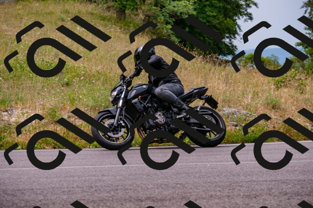 202506221114-DSC_3912_d2_