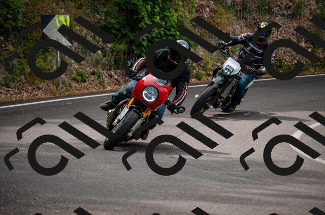 202506221118-DSC_3915_d2_