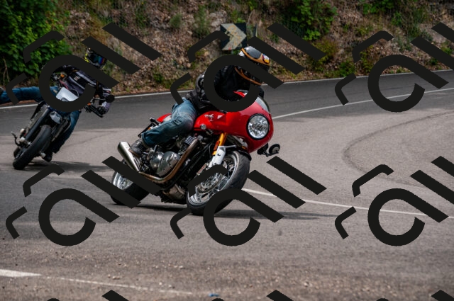 202506221118-DSC_3916_d2_