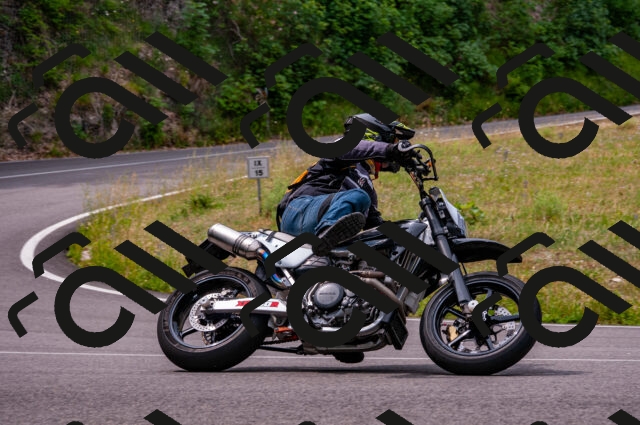 202506221118-DSC_3918_d2_