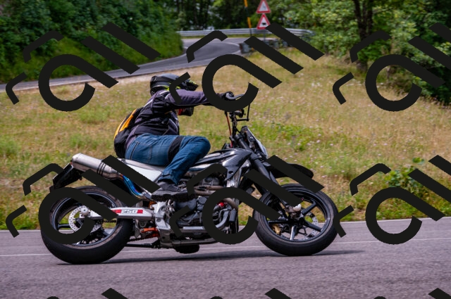 202506221118-DSC_3919_d2_