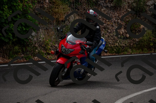 202506221121-DSC_3929_d2_