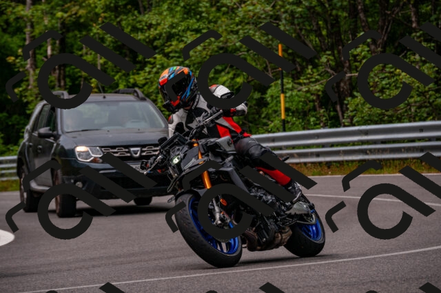 202506221121-DSC_3933_d2_