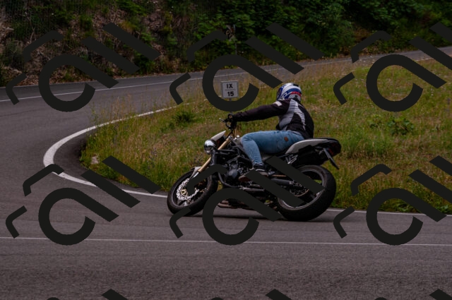 202506221123-DSC_3943_d2_