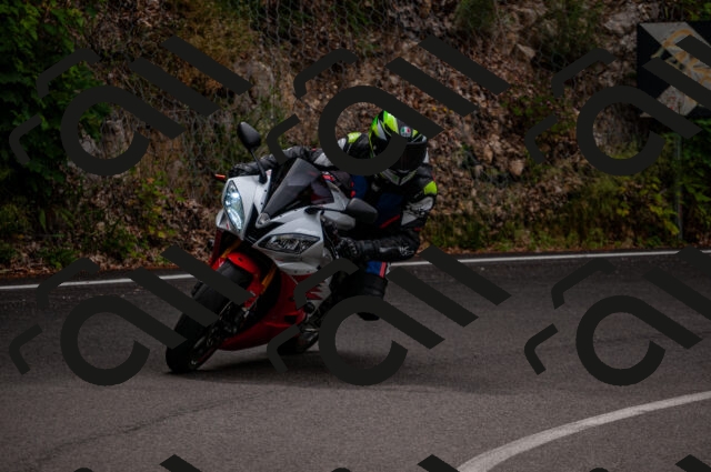 202506221124-DSC_3966_d2_