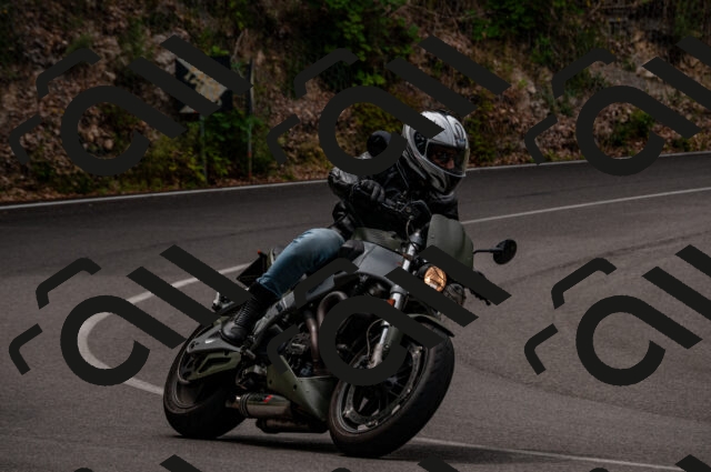 202506221125-DSC_3977_d2_