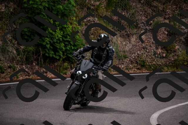 202506221125-DSC_3979_d2_