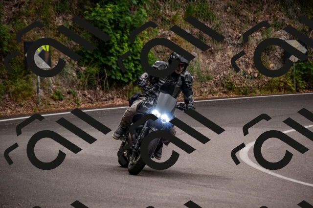 202506221125-DSC_3980_d2_