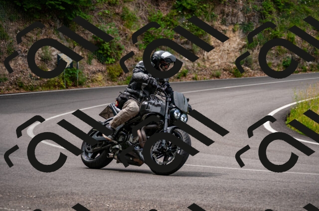 202506221125-DSC_3981_d2_