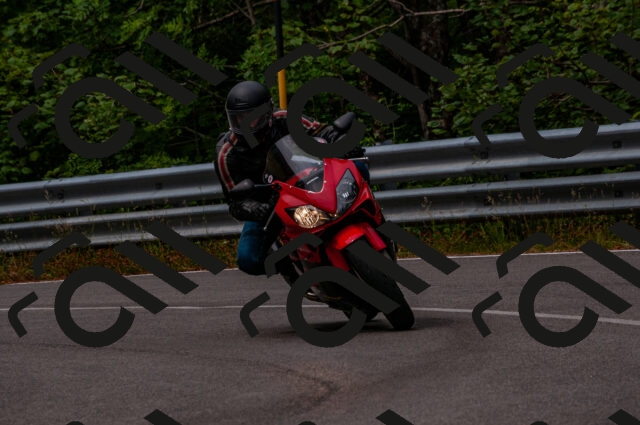 202506221126-DSC_3984_d2_