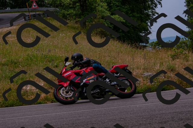 202506221126-DSC_3986_d2_