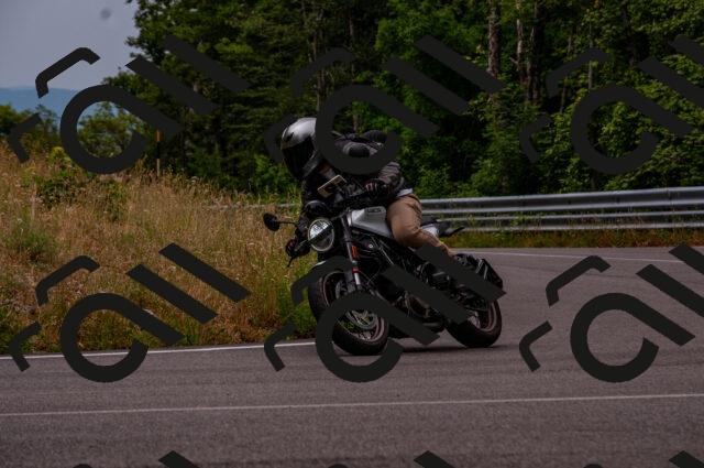 202506221127-DSC_3996_d2_