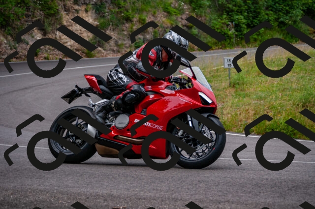 202506221129-DSC_4009_d2_