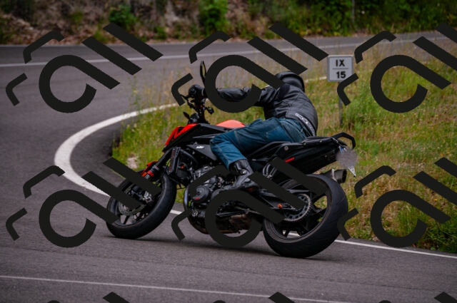 202506221132-DSC_4035_d2_