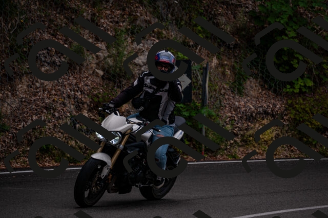 202506221135-DSC_4060_d2_