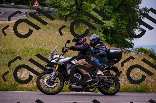 202506221141-DSC_4088_d2_