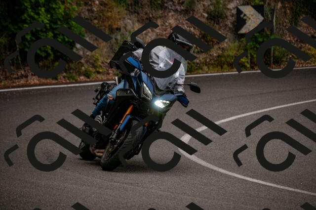 202506221144-DSC_4090_d2_