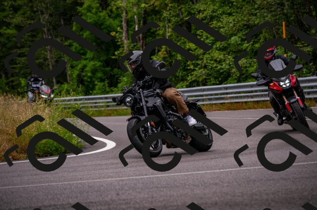 202506221149-DSC_4100_d2_