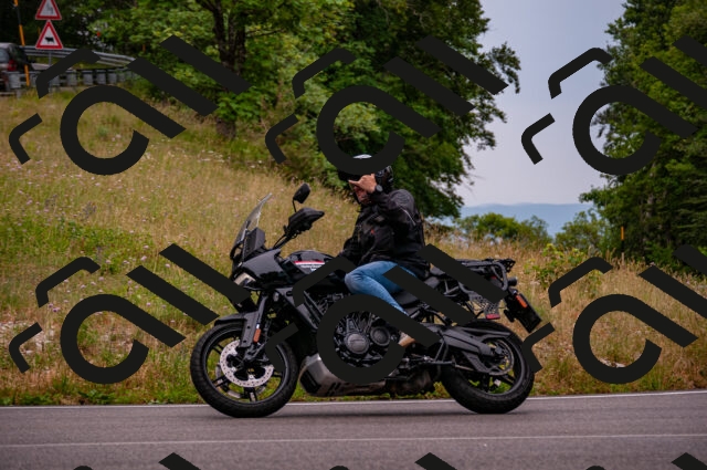 202506221154-DSC_4116_d2_