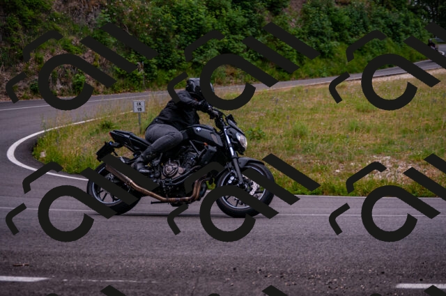 202506221156-DSC_4133_d2_