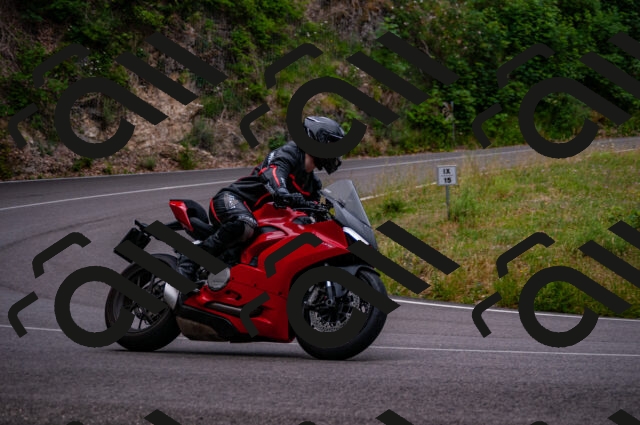 202506221156-DSC_4138_d2_