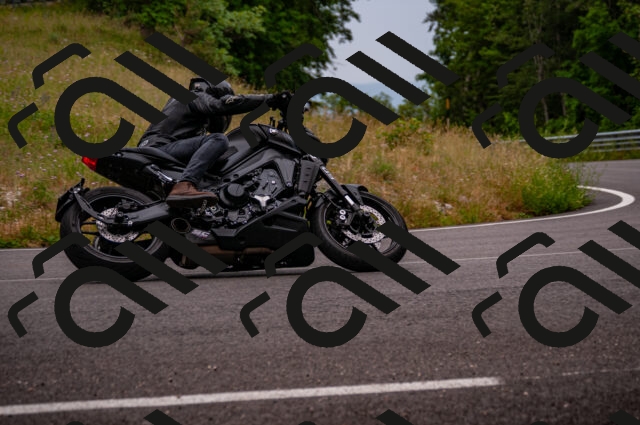 202506221159-DSC_4145_d2_