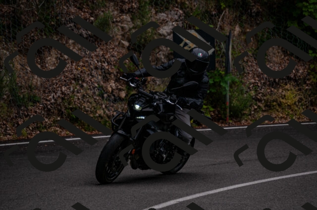 202506221159-DSC_4150_d2_