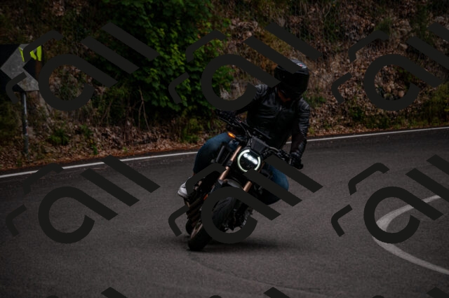 202506221159-DSC_4153_d2_