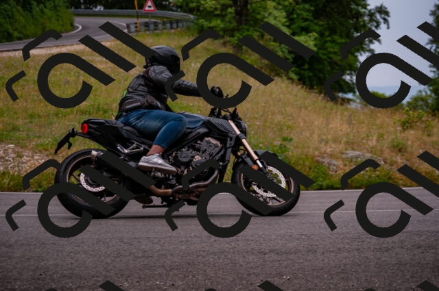 202506221159-DSC_4155_d2_