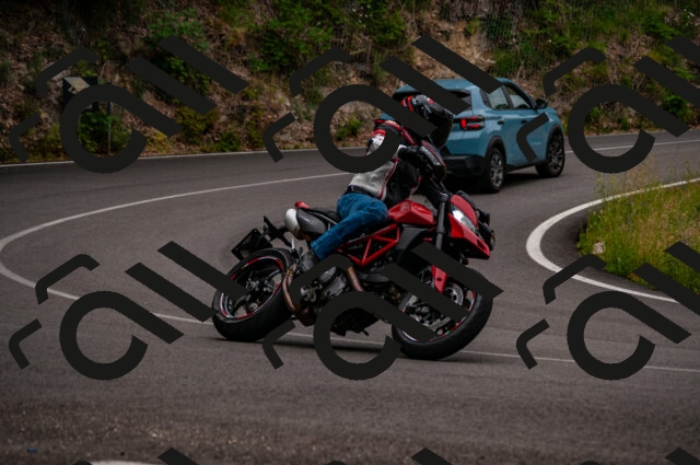 202506221200-DSC_4165_d2_