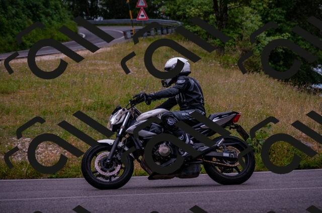 202506221205-DSC_4186_d2_