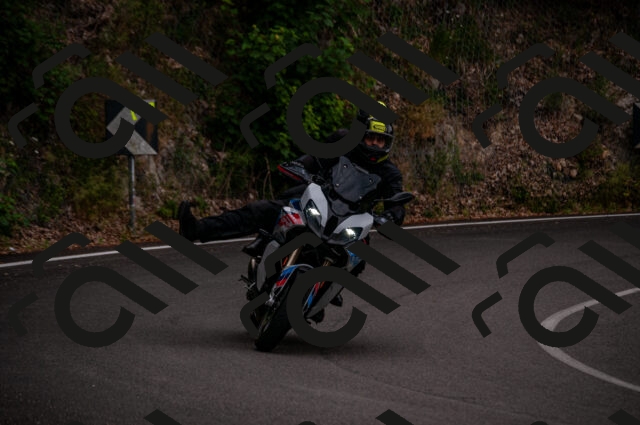 202506221208-DSC_4221_d2_