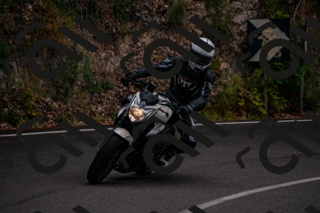 202506221208-DSC_4224_d2_