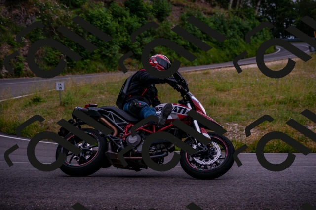 202506221214-DSC_4247_d2_