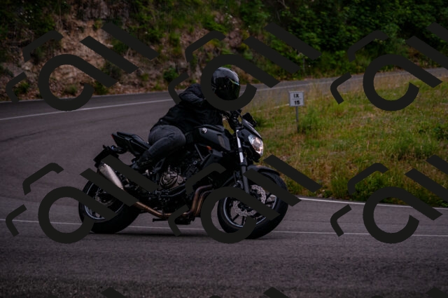 202506221215-DSC_4250_d2_